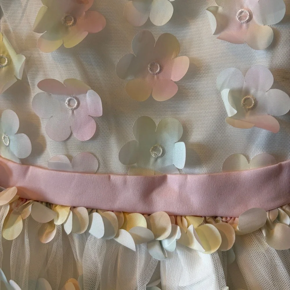 Jessica Simpson Toddler Girls 3T 3D Floral Applique Pastel Party Dress Easter